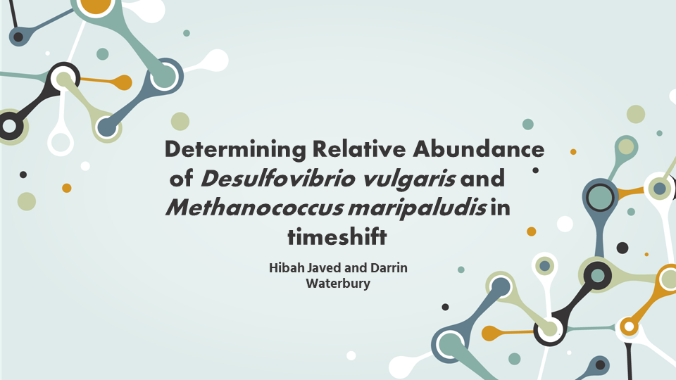 posters/biological-sciences/Determining Relative Abundance of Desulfovibrio vulgaris and Methanococcus maripaludis in timeshift Poster